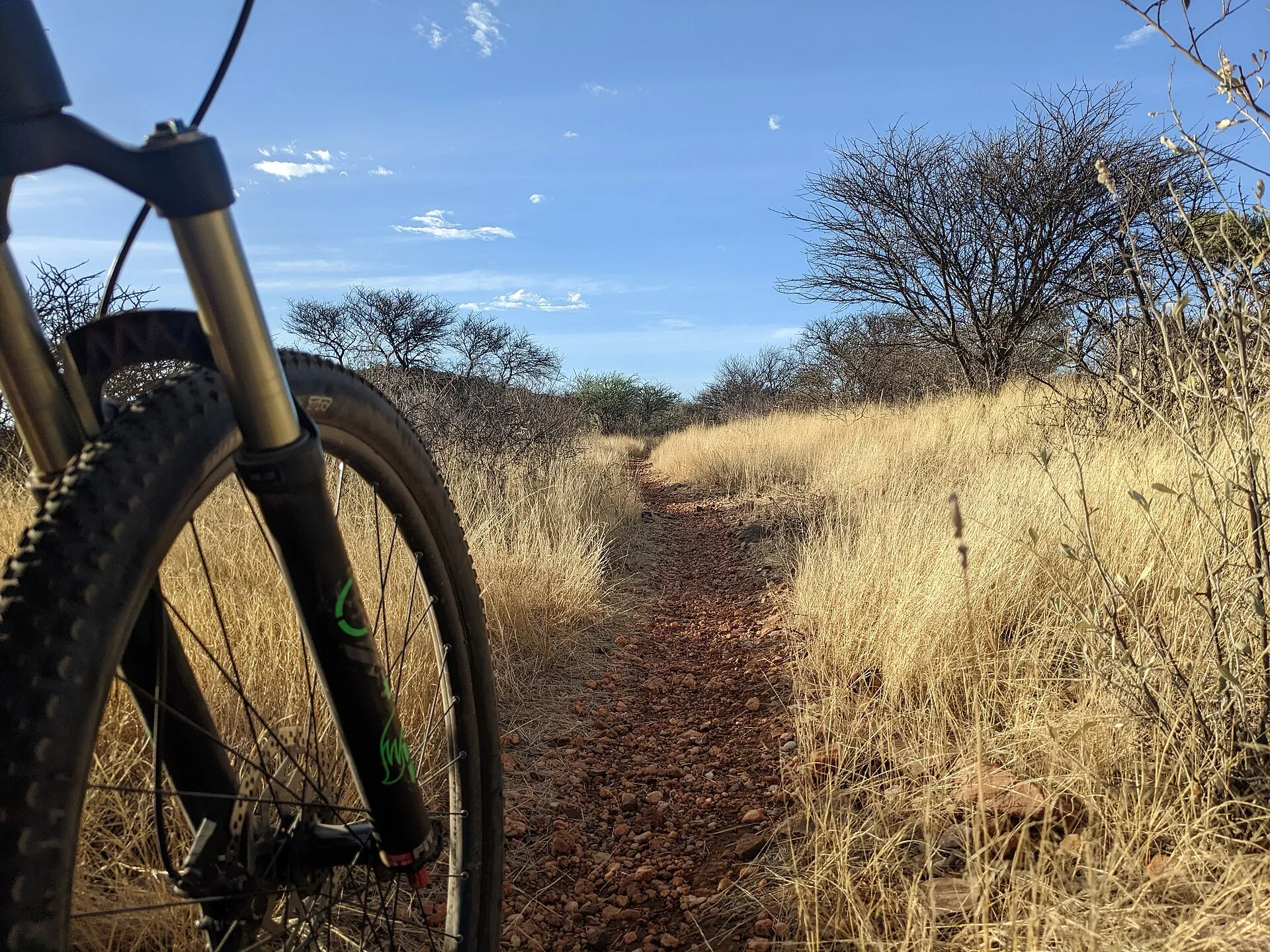 Trail SUV e-bike riding